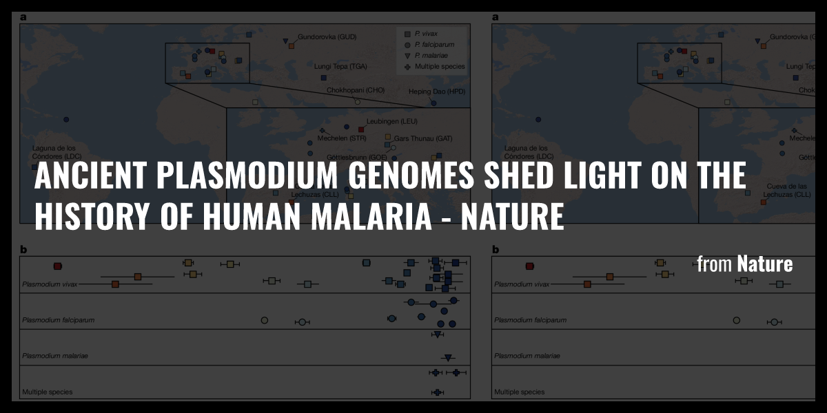 Ancient Plasmodium Genomes Shed Light On The History Of Human Malaria Nature Briefly